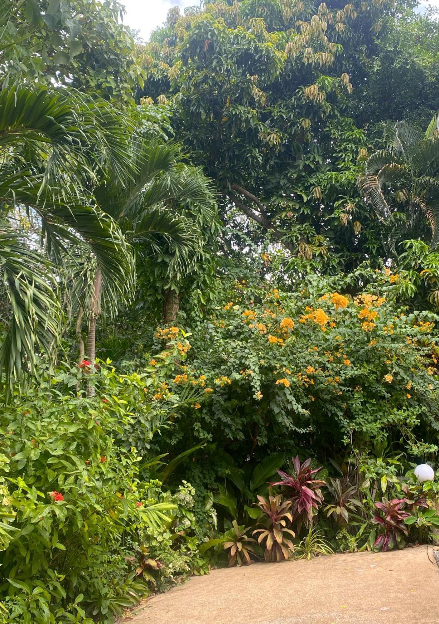 Oasis Naturist Villa