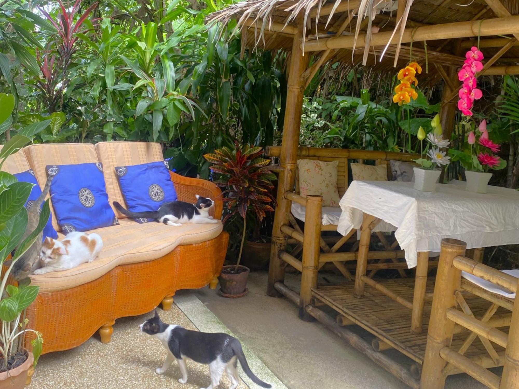 Oasis Naturist Villa *